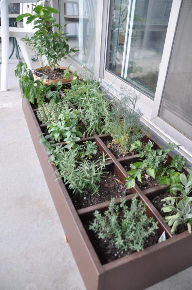 Plantes aromatiques au balcon comment cultiver les herbes? Inspiration Balcon Maison