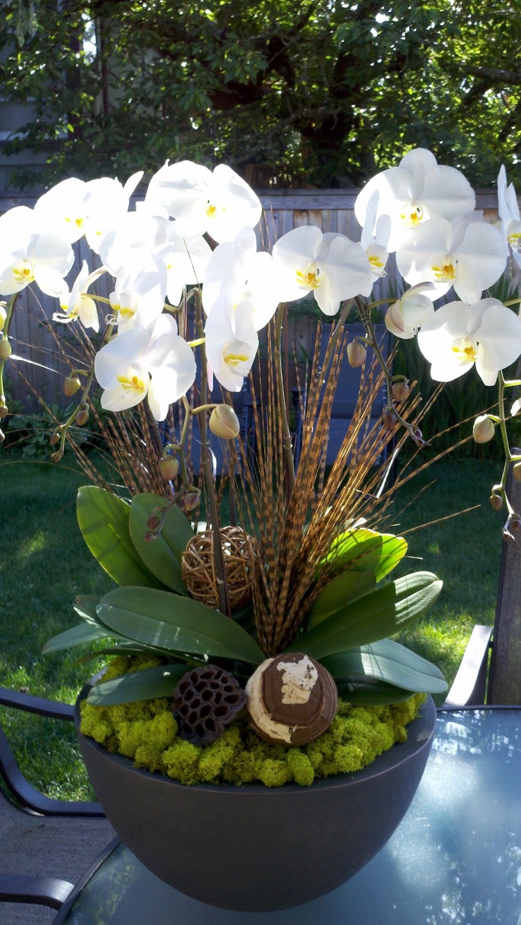 entretien des orchidées -blanches-pot-noir-table-jardin