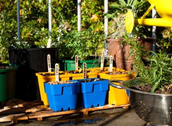 faire-potager-balcon-étiquettes-épices