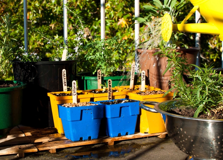 faire-potager-balcon-étiquettes-épices