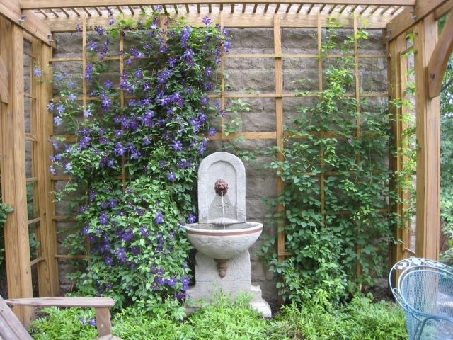 fontaine-jardin-clématite-pergola fontaine jardin