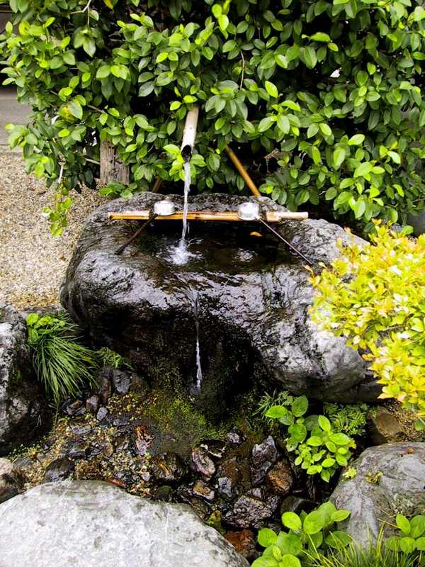fontaine-jardin-plantes-canne-bambou fontaine jardin