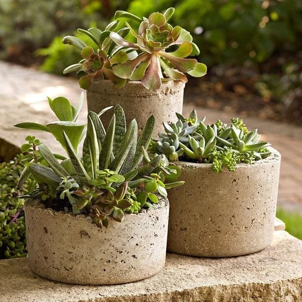 idée-déco-jardiniere-beton-forme-arrondie-plantes-succulentes