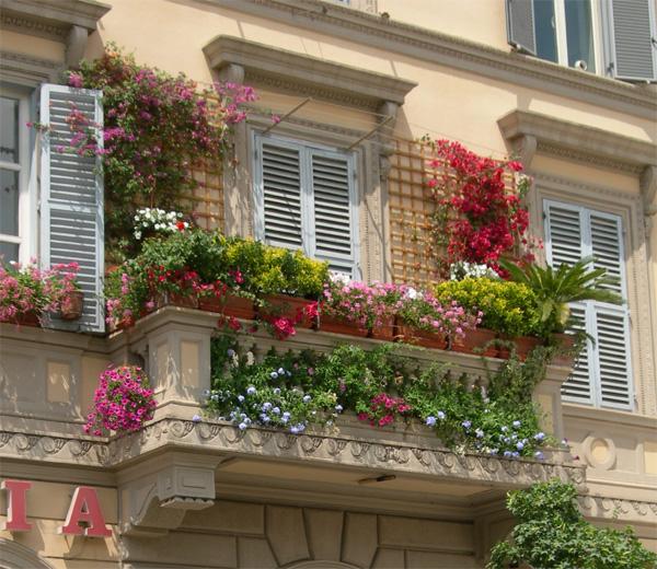 idée déco plantes-grimpantes-balcon-facade-pot-fleurs