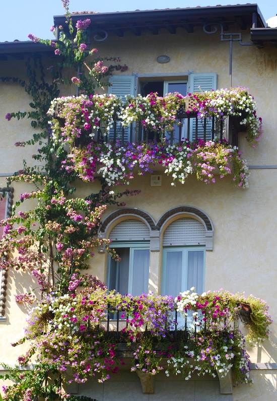 idee-deco-plantes-grimpantes-balcon-facade