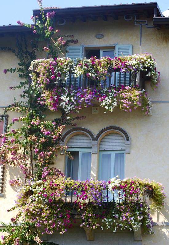 Idée déco: invitez les plantes grimpantes sur terrasse et balcon Inspiration Balcon Maison