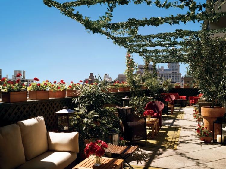 Idée déco: invitez les plantes grimpantes sur terrasse et balcon