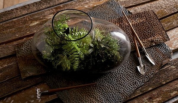 idée-déco-terrarium-mini-jardin-bocal-verre
