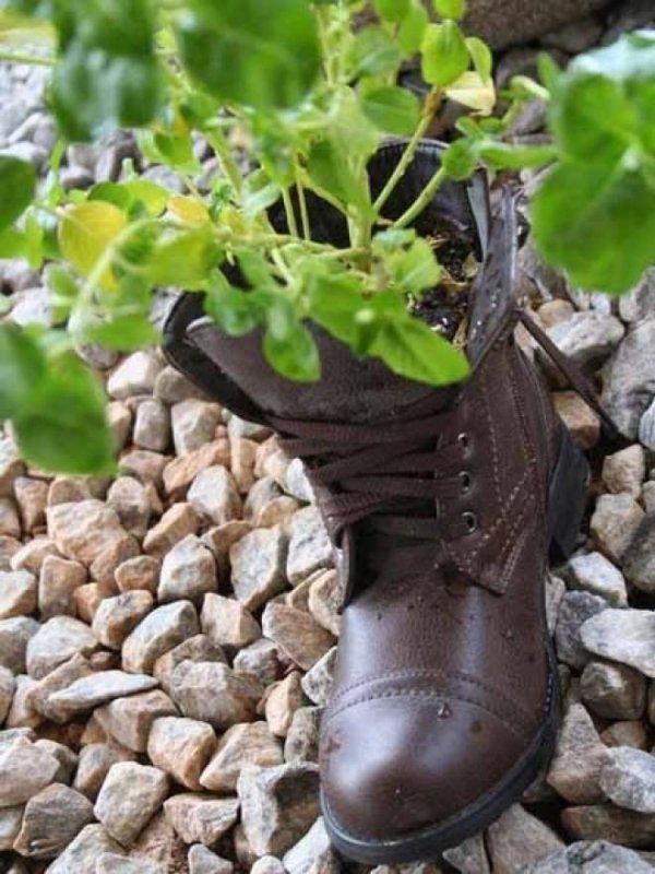 idée-jardin-pot-chaussures-bottines-plnates