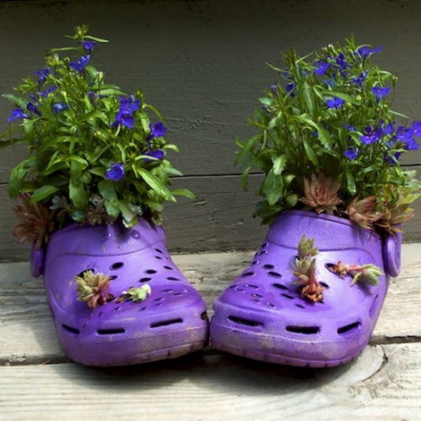 idée-jardin-pot-chaussures-crocs-pourpre-fleurs