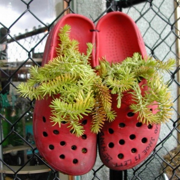 idée-jardin-pot-chaussures-crocs-rouges-succulentes