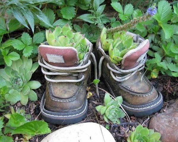 idée-jardin-pot-chaussures-enfant-garçon-succulentes