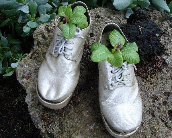 idée-jardin-pot-chaussures-grises-plantes idée jardin