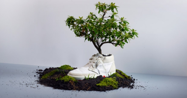 idée-jardin-pot-chaussures-sneakers-arbre-décoratif