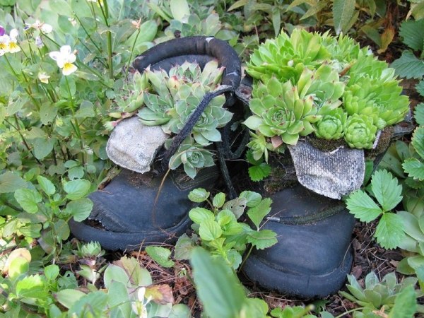 idée-jardin-pot-chaussures-succulentes-bottes-homme idée jardin