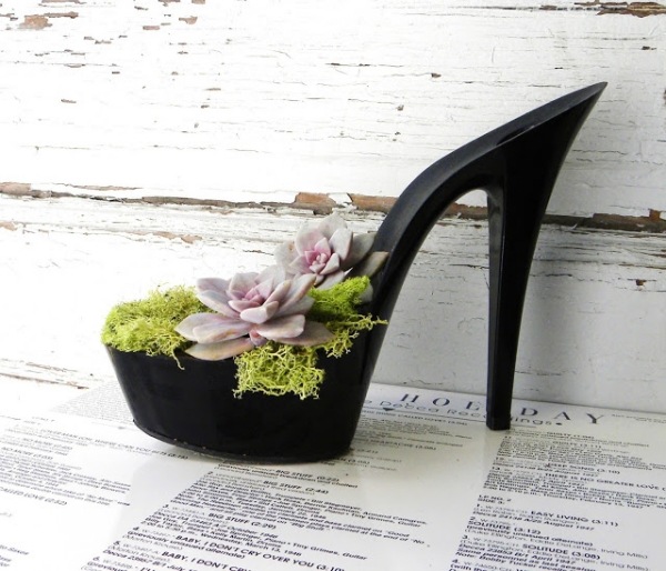 idée-jardin-pot-chaussures-talon-noires-succulentes idée jardin