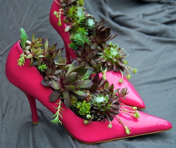 idée-jardin-pot-chaussures-talons-succulentes idée jardin