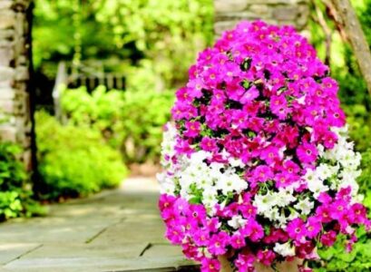 idee-deco-jardin-terrasse-tour-fleurs-petunias