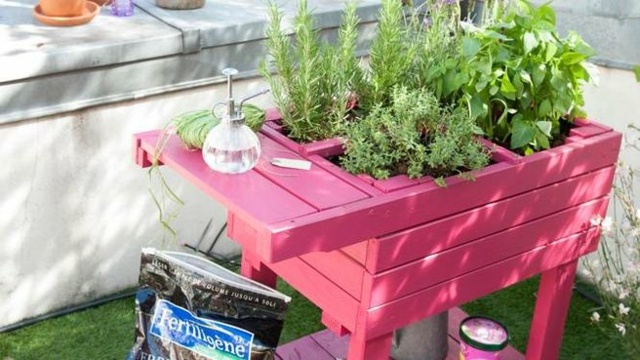 idee-deco-plante-d`hiver-balcon-table-DIY-couleur-rose