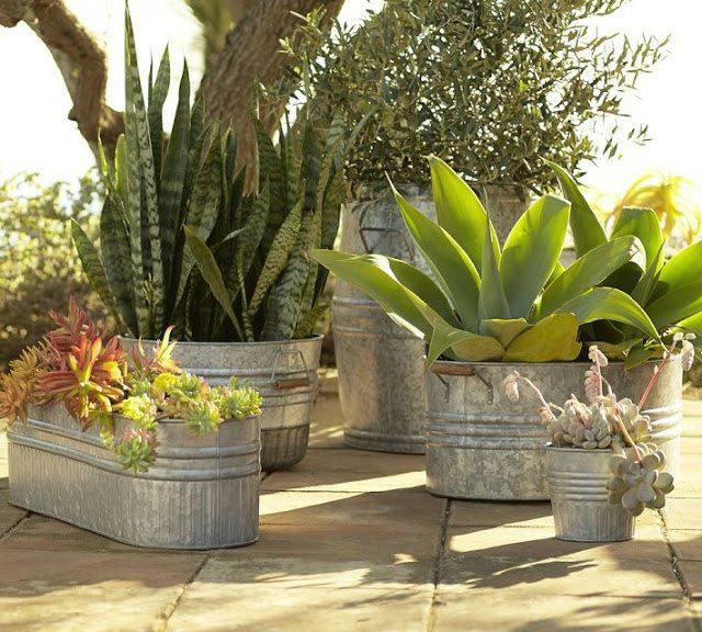 idees-deco-terrasse-plantes-succulentes-jardinières-métalliques