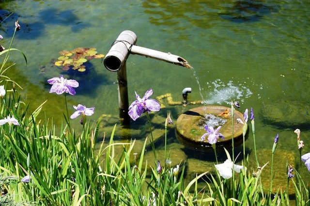 idée-déco-jardin-fontaine-bambou-fleurs-bec