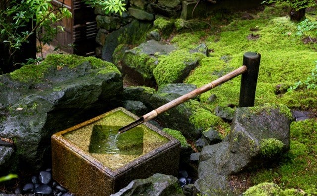 idée-déco-jardin-fontaine-bambou-forme-carree-mousse