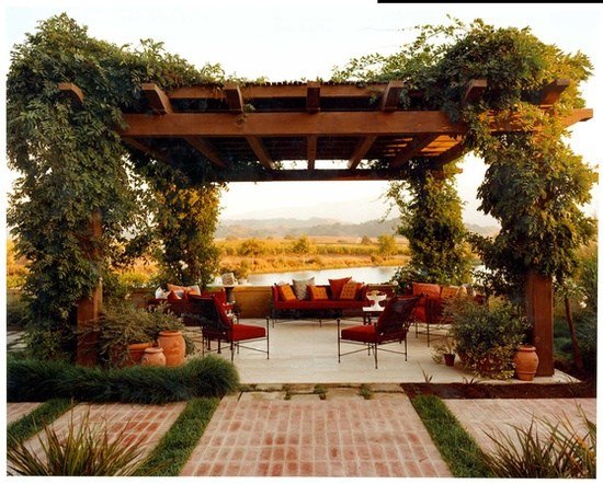 idée-déco-plantes-grimpantes-pergola-terrasse