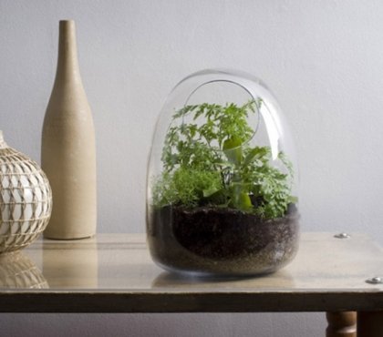 idée-déco-terrarium-mini-jardin-plantes