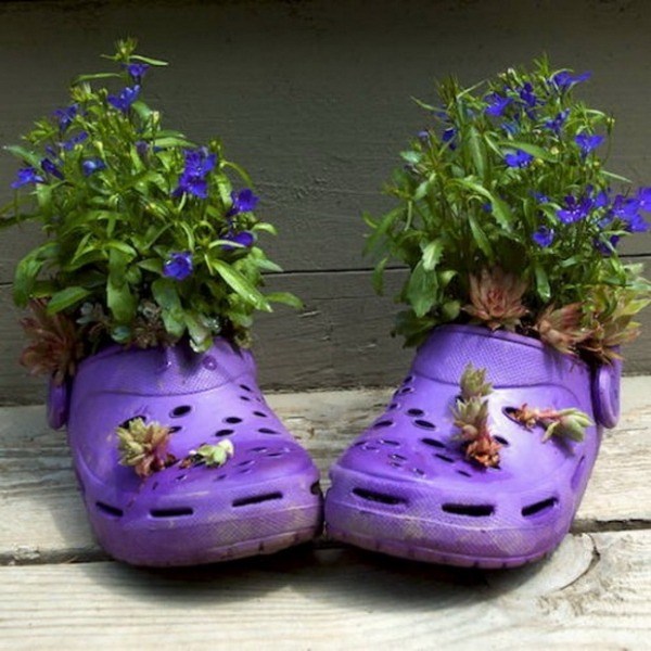 idée-jardin-pot-chaussures-crocs-pourpre-fleurs.jpeg