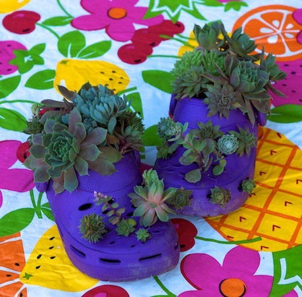idée-jardin-pot-chaussures-crocs-succulentes