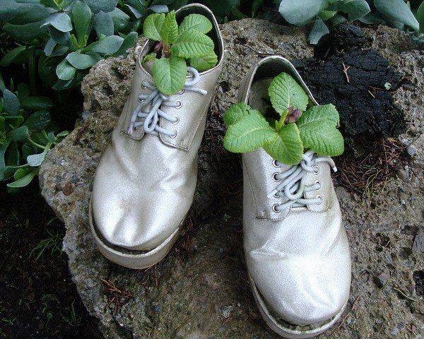 idée-jardin-pot-chaussures-grises-plantes