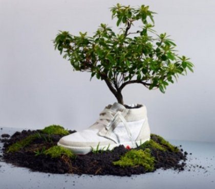 idée-jardin-pot-chaussures-sneakers-arbre-décoratif