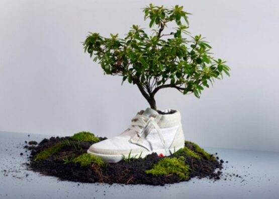idée-jardin-pot-chaussures-sneakers-arbre-décoratif