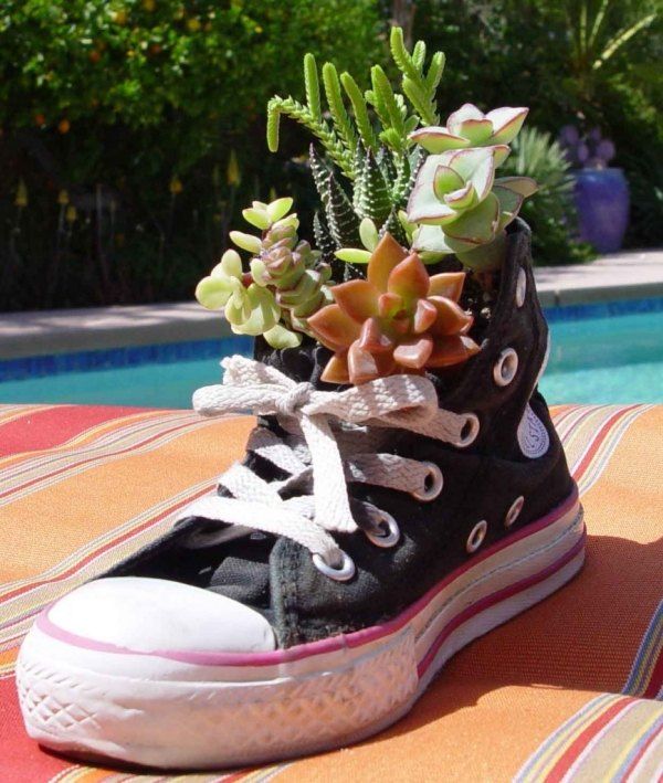 idée-jardin-pot-chaussures-sneakers-succulentes