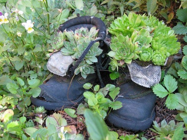 idée-jardin-pot-chaussures-succulentes-bottes-homme