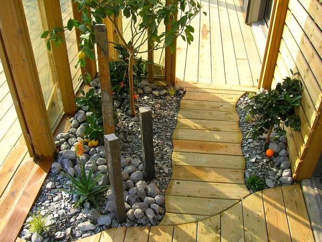 idée-petit-jardin rocaille maison plantes exotiques