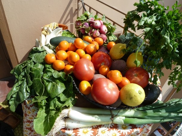 idées déco pour balcon panier-légumes-agrumes