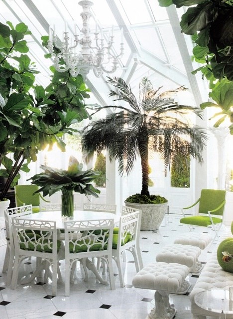 idées-déco-veranda-plantes-palmier-table-ronde-chaises