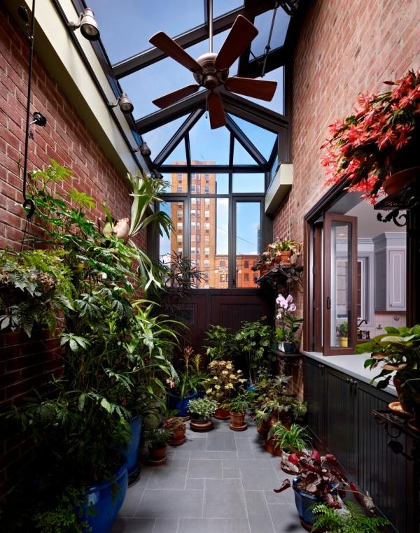 idées déco veranda-plantes-plafond-vitre