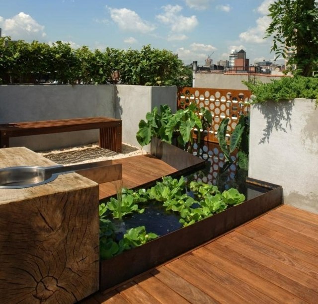 jardin-aquatique-moderne-toit-terrasse-bois