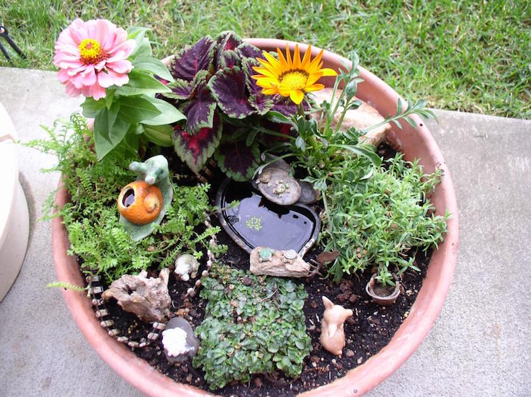 jardin-aquatique-pot-oasis-miniature-mettre-balcon