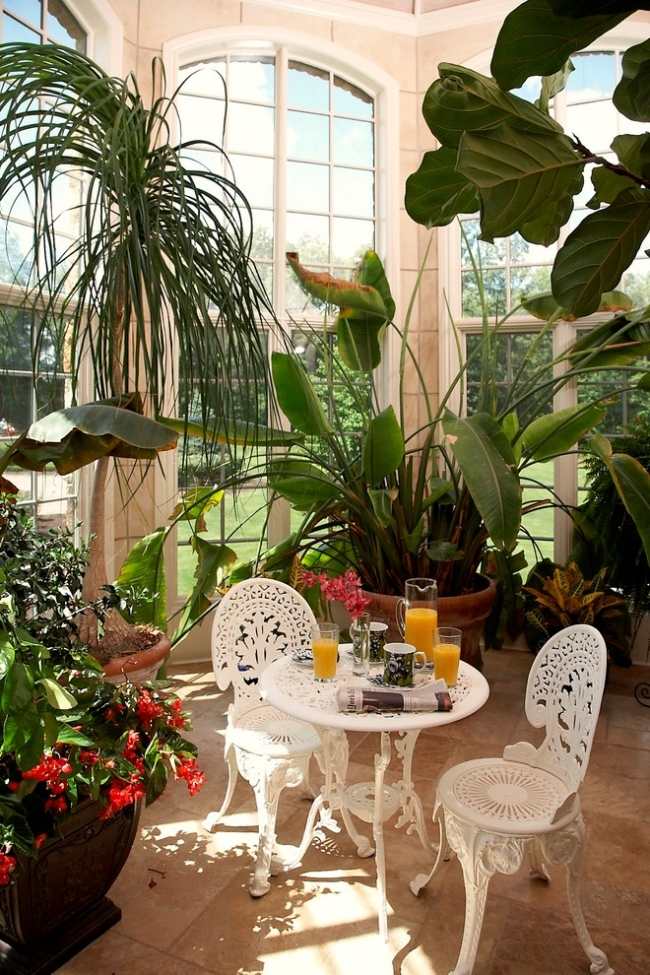 jardin-d'hiver-idee-coin-detente-palmiers-table-ronde-chaises