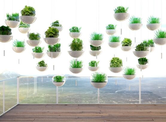 jardin-herbes-aromatiques-balcon-jardin-vertical
