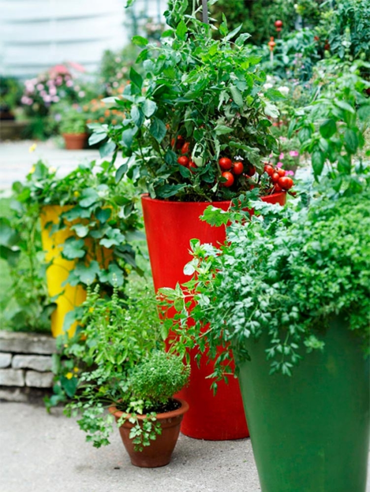 jardin-herbes-aromatiques-balcon-pots-multicolores