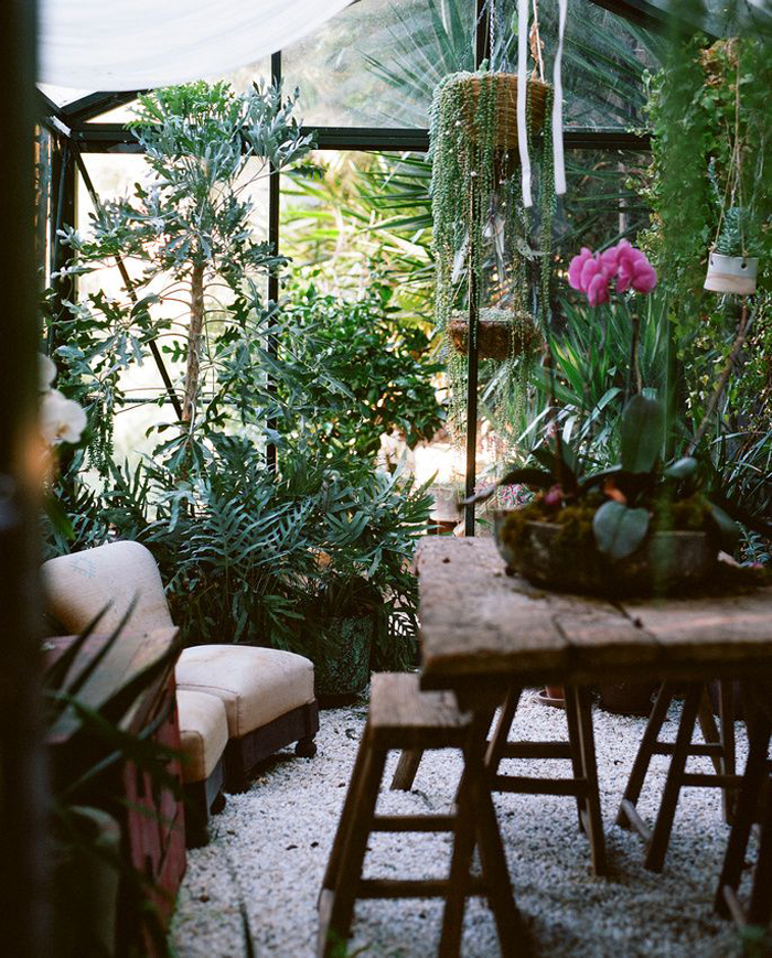 jardin hiver super plantes vertes table bois brut fauteuil