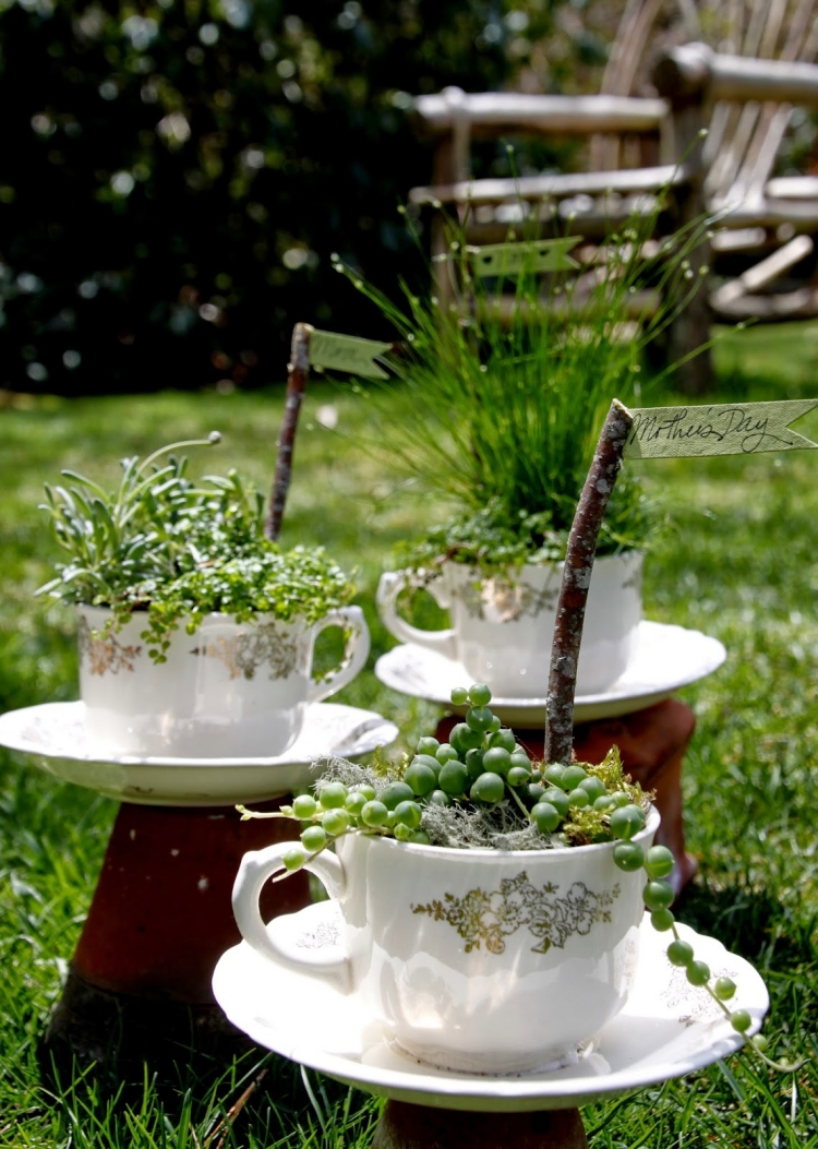 jardin-miniature-idée-originale-tasses-thé