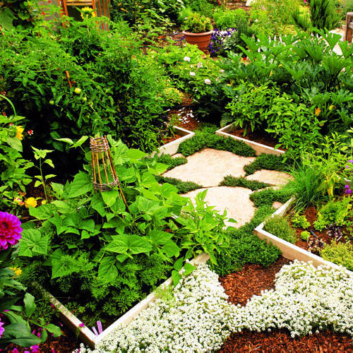 jardin-vertical-parterre-plantes-étages