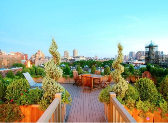 jardiniere-bois-toit-terrasse-arbustes-salon-bois