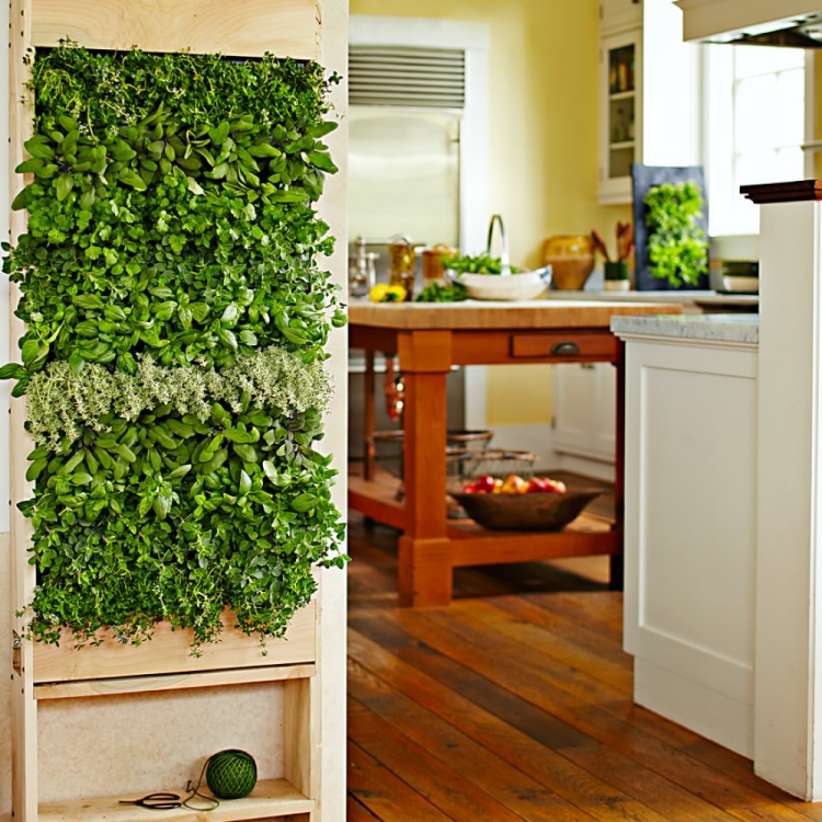 mur-végétal-intérieur-herbes-aromatiques mur végétal