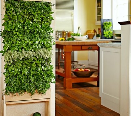 mur-végétal-intérieur-herbes-aromatiques